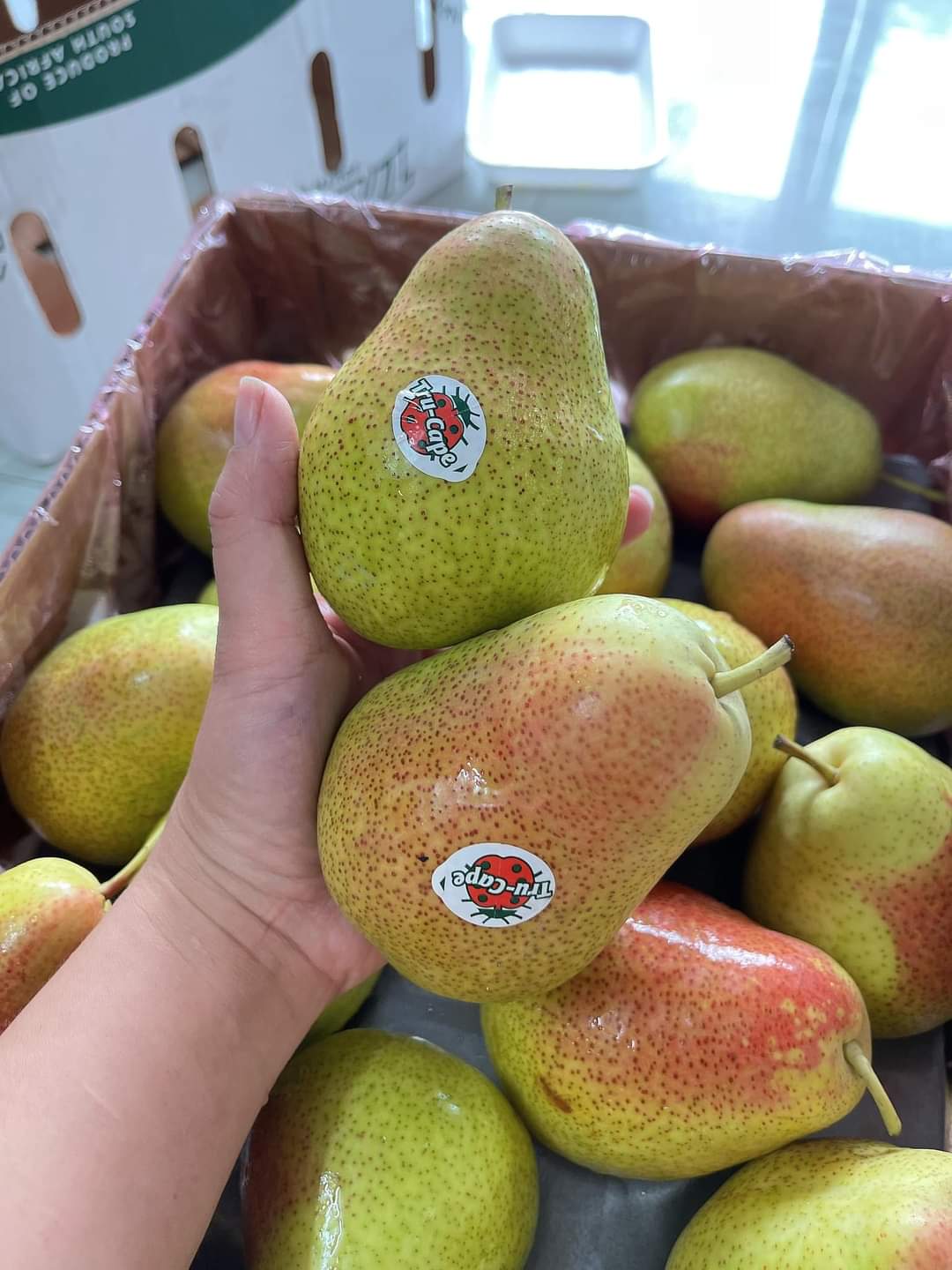 LÊ NAM PHI TRUCAPE 1KG