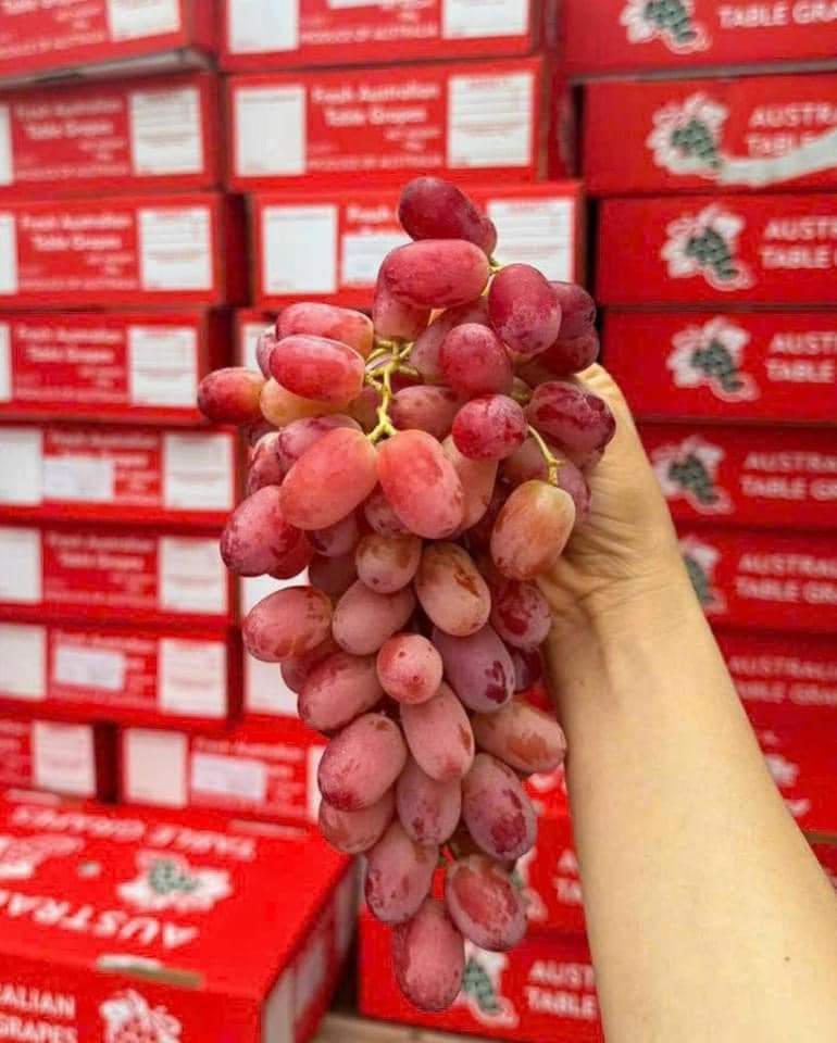 NHO ĐỎ ÚC CRIMSON 1KG