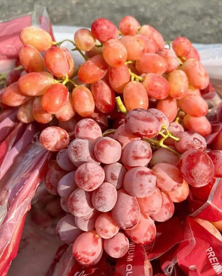 NHO ĐỎ ÚC CRIMSON 1KG