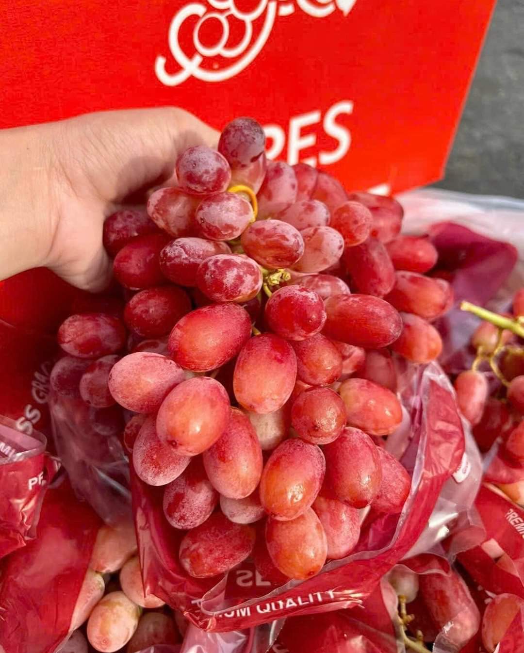 NHO ĐỎ ÚC CRIMSON 1KG