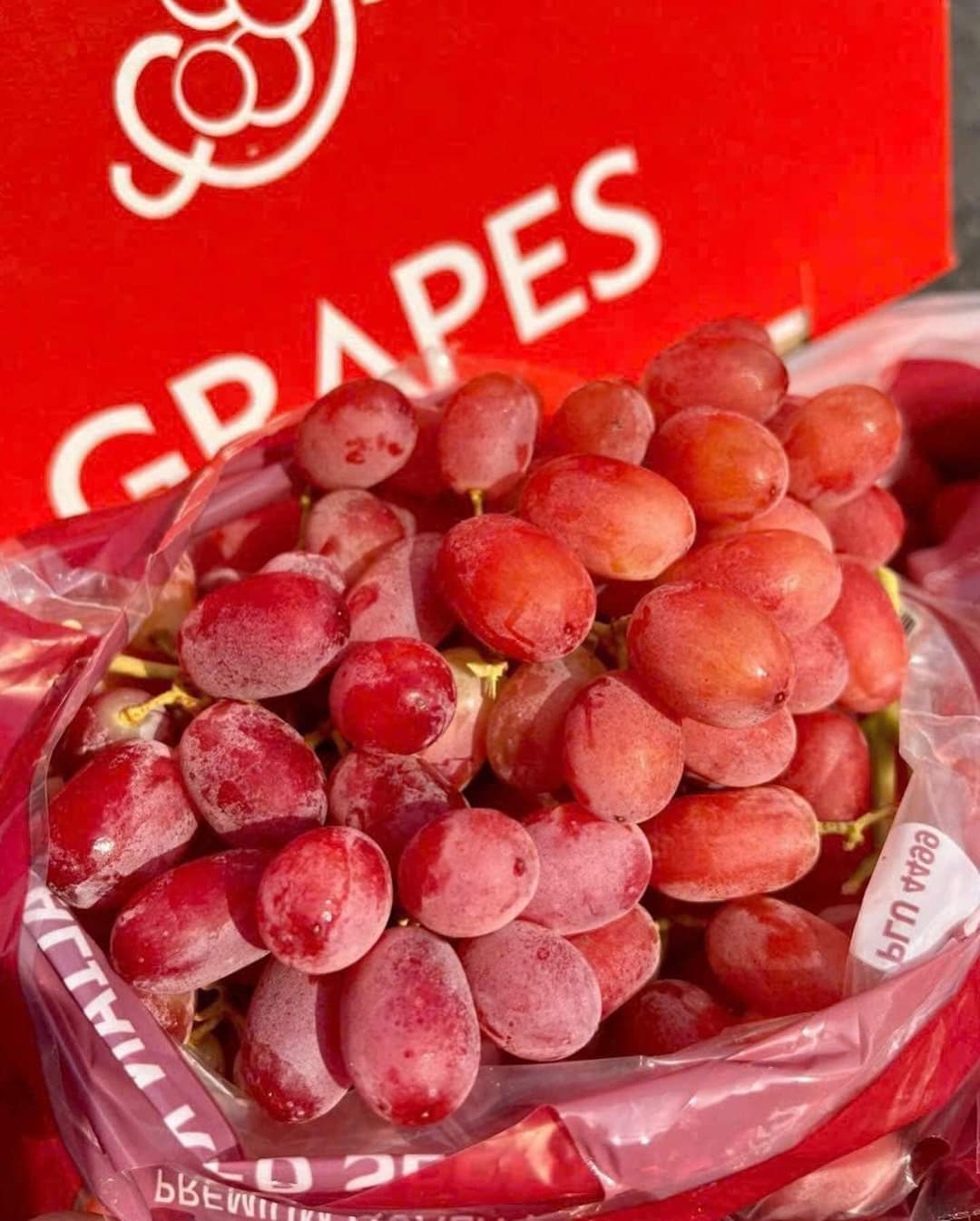 NHO ĐỎ ÚC CRIMSON 1KG