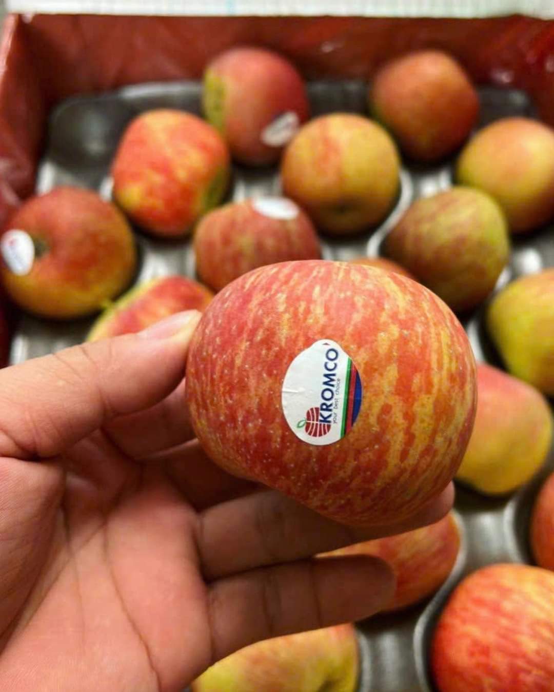 TÁO FUJI NAM PHI KROMCO 1KG