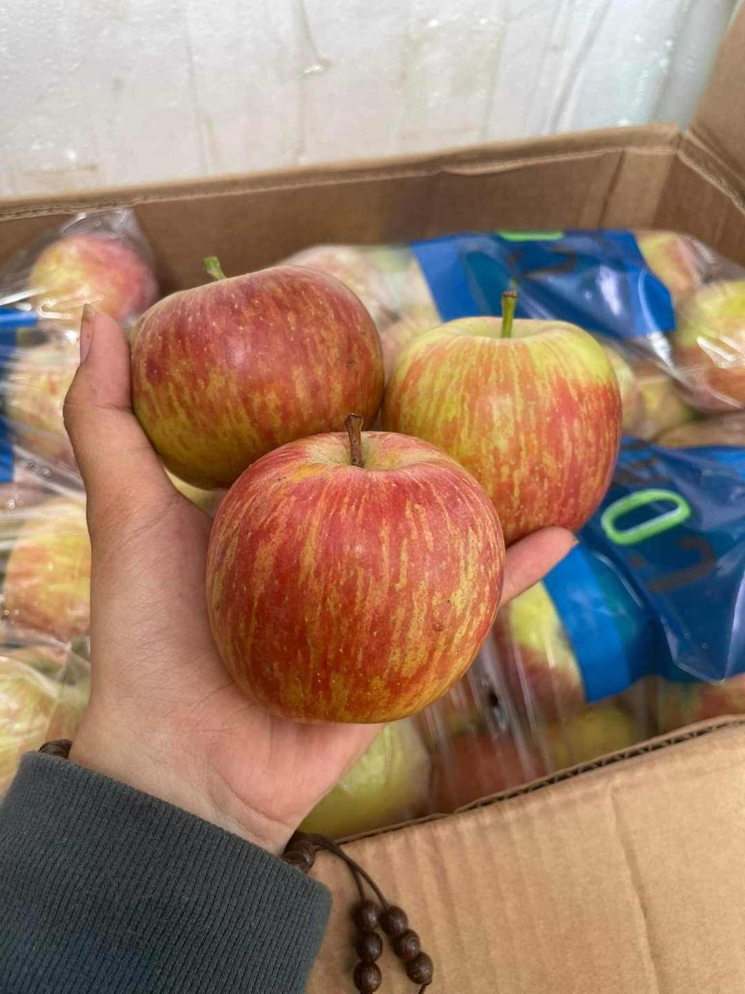 TÁO FUJI NAM PHI KROMCO 1KG