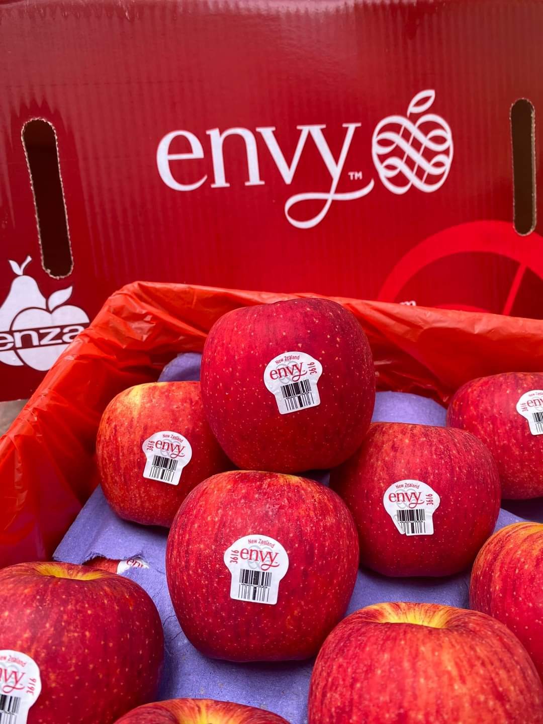 TÁO ENVY