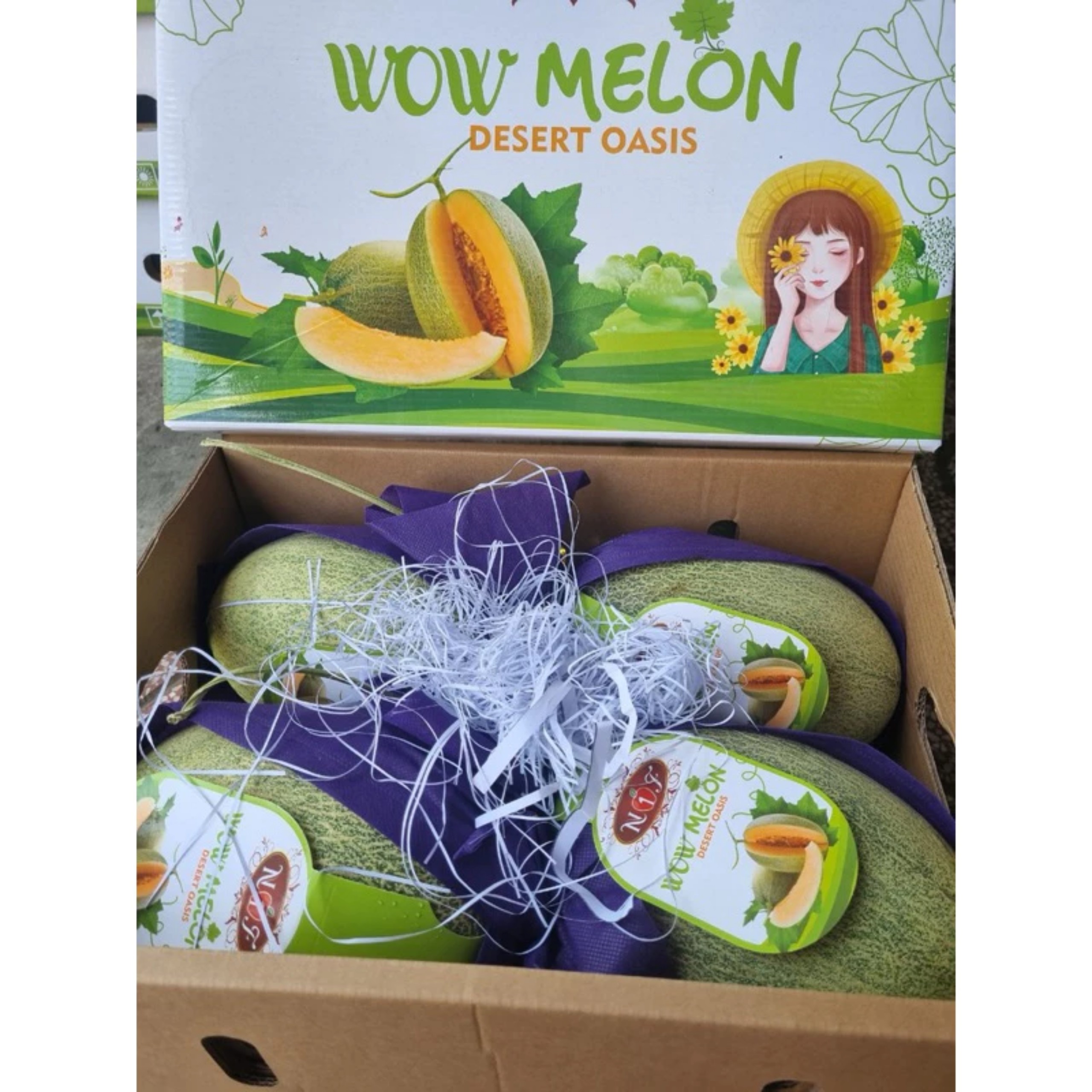 DƯA LƯỚI ĐÀI LOAN 1THÙNG 7KG