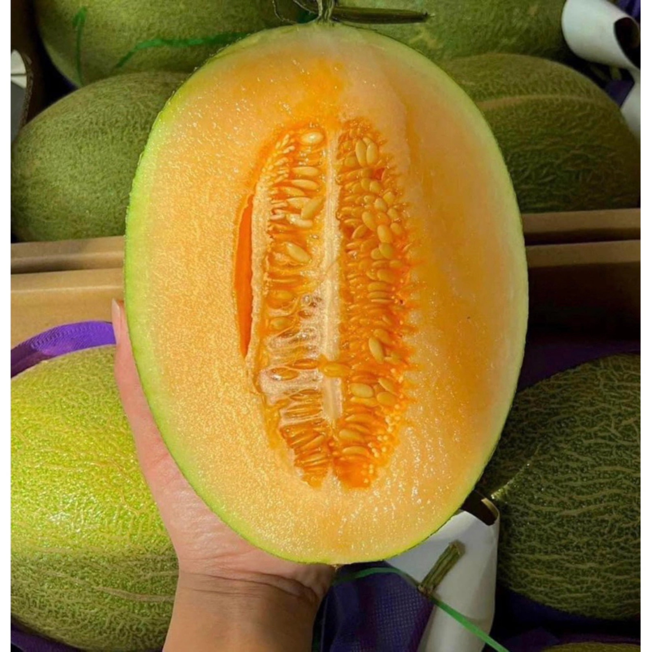 DƯA LƯỚI ĐÀI LOAN 1THÙNG 7KG