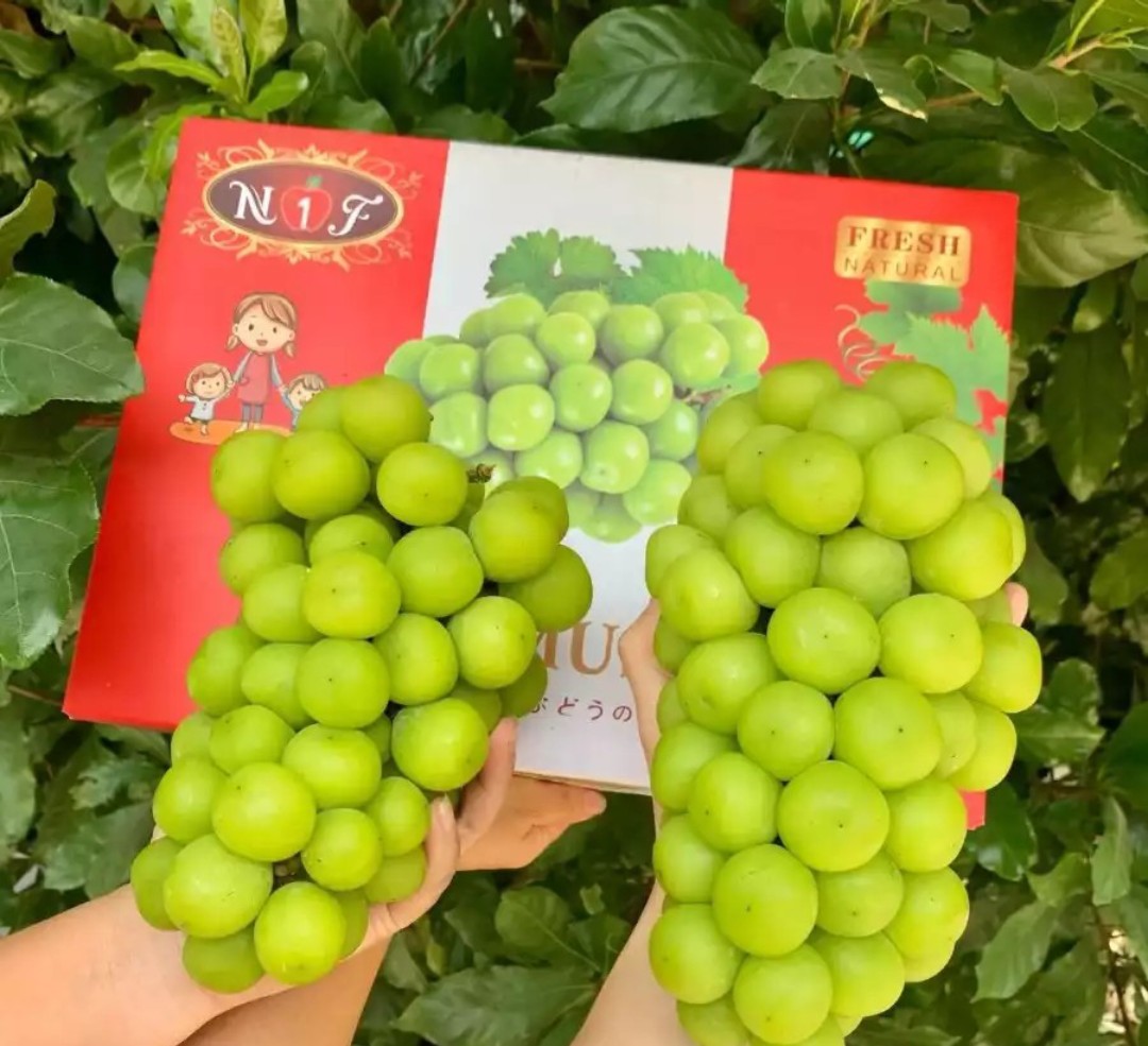 HỘP 2 CHÙM NHO MẪU ĐƠN