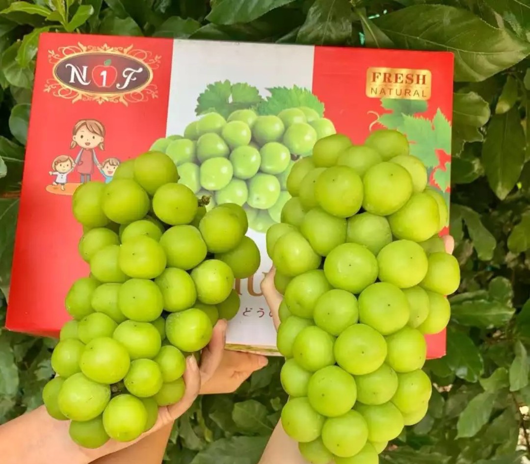 HỘP 2 CHÙM NHO MẪU ĐƠN