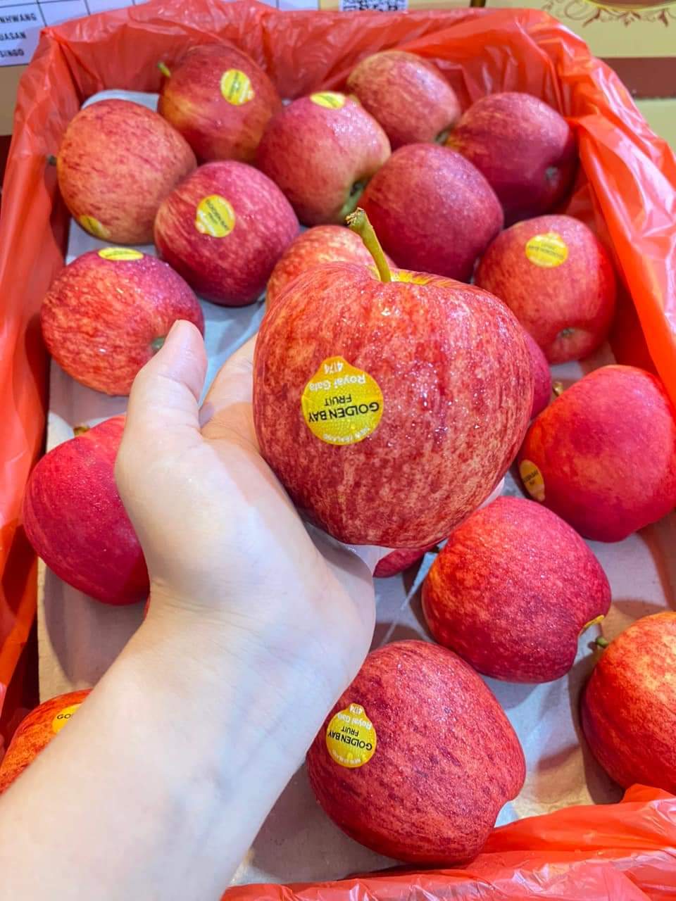 TÁO FUJI GOLDEN BAY