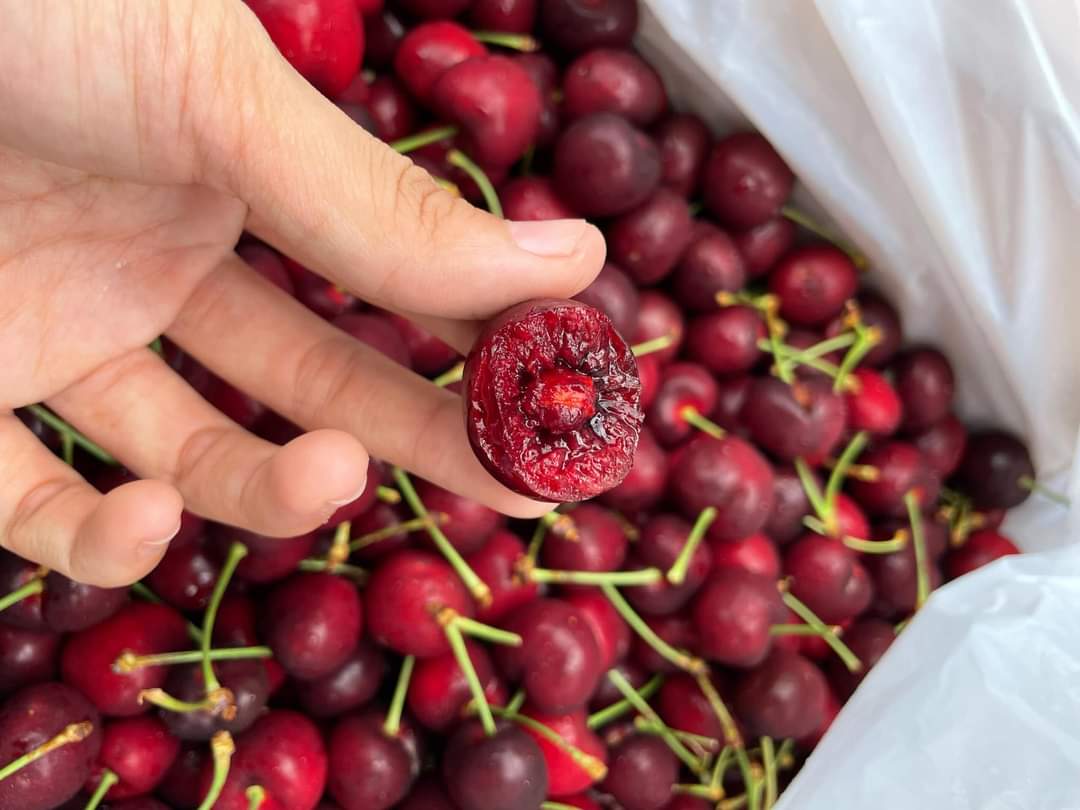 CHERRY MỸ1KG