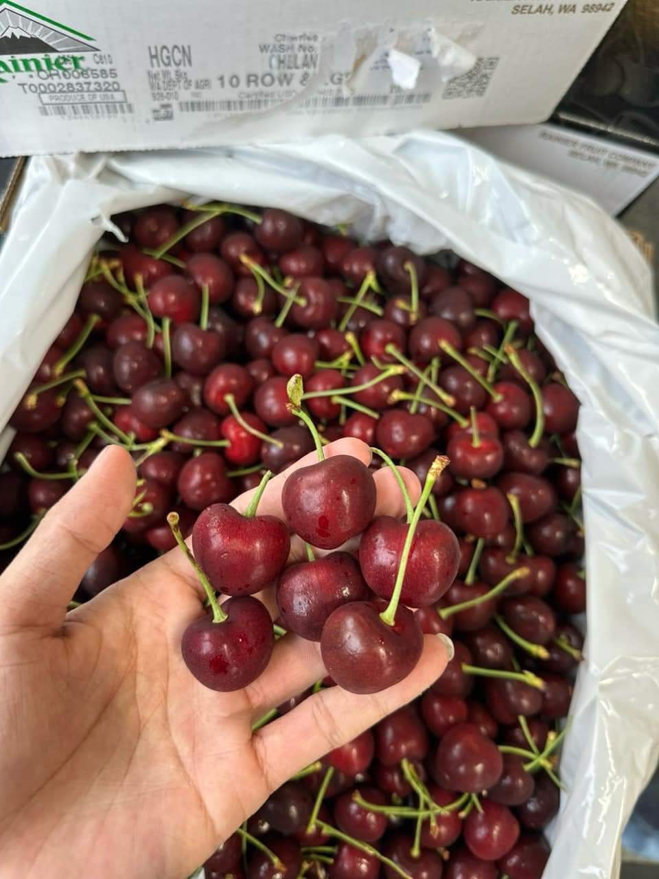 CHERRY MỸ1KG