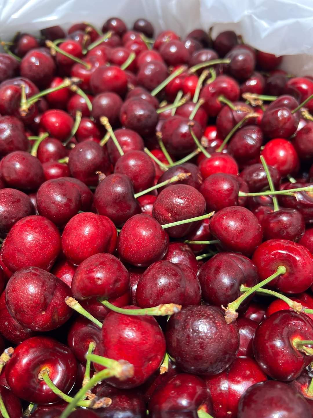 CHERRY MỸ1KG