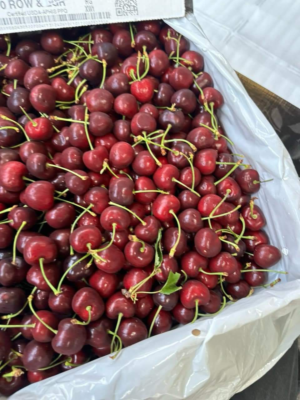 CHERRY MỸ1KG
