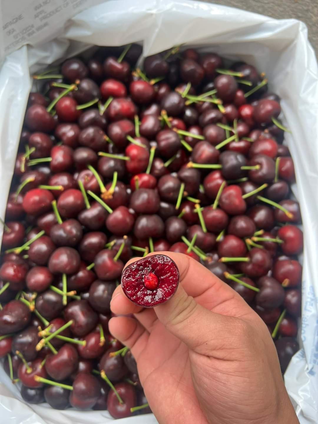 CHERRY MỸ1KG
