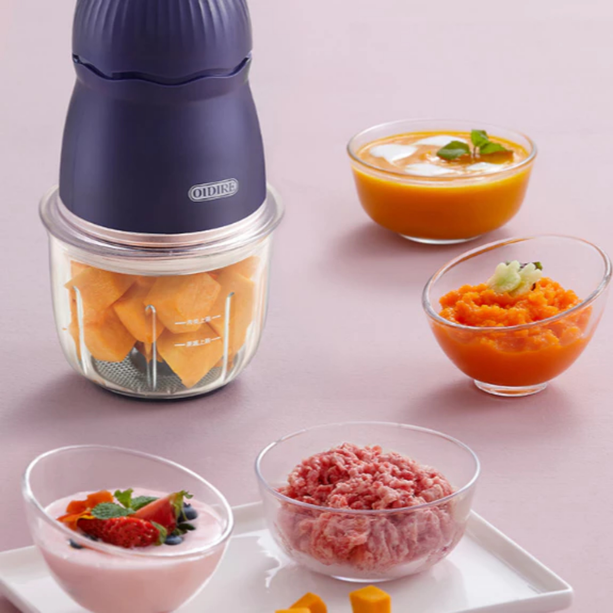 MÁY XAY THỊT OIDIRE