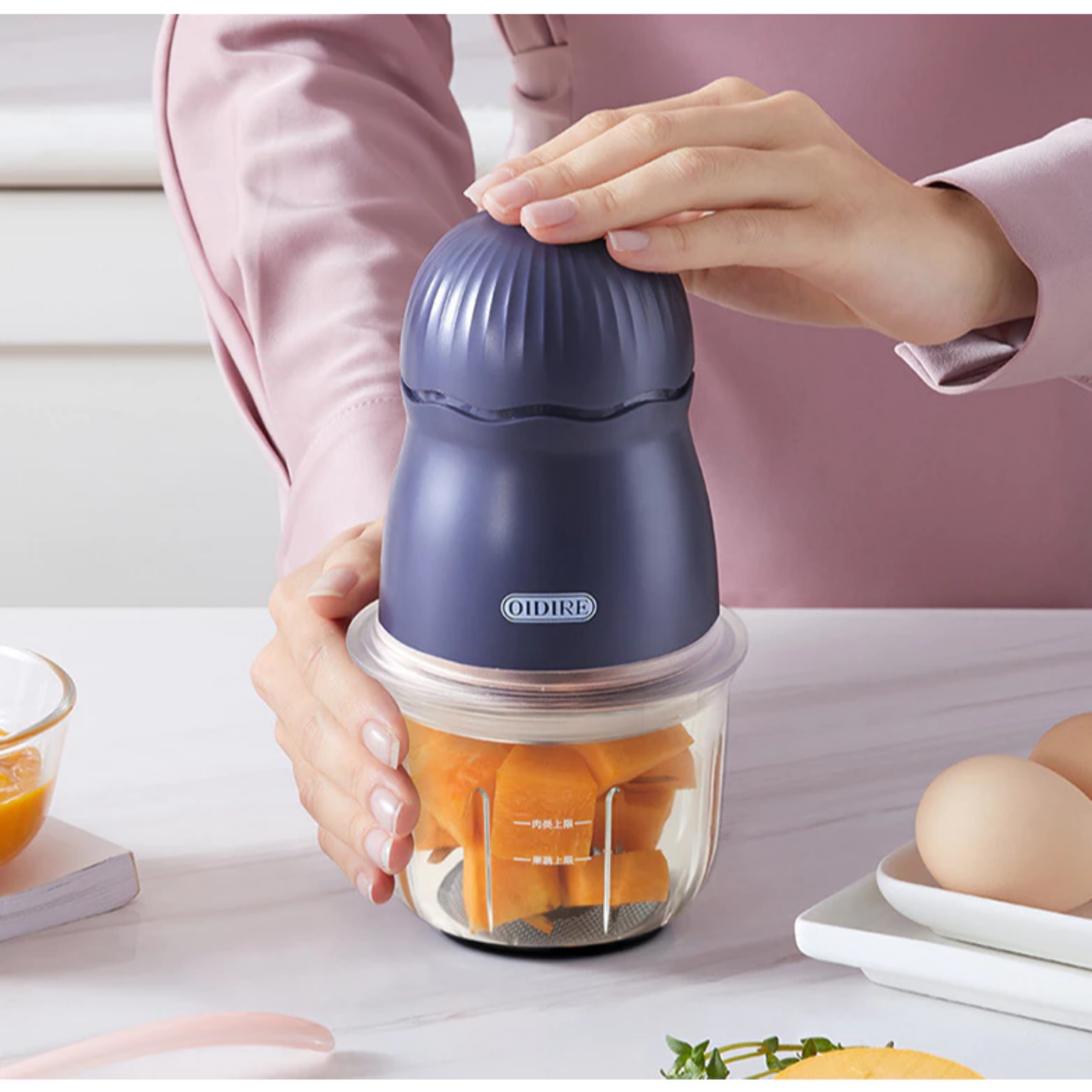 MÁY XAY THỊT OIDIRE