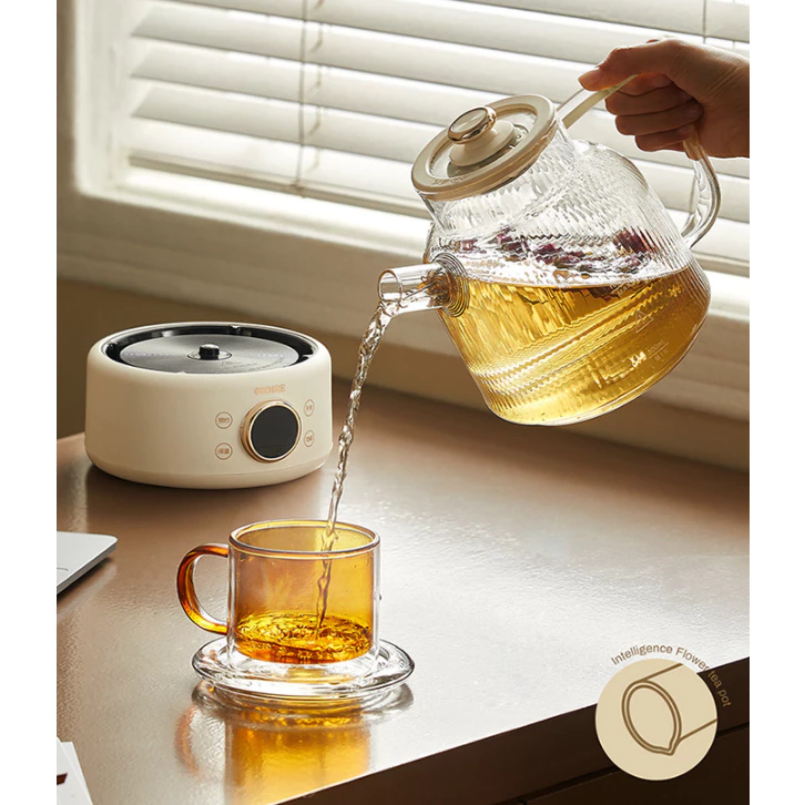 BÌNH ĐUN NƯỚC THỦY TINH PHA TRÀ OIDIRE 530W 220V