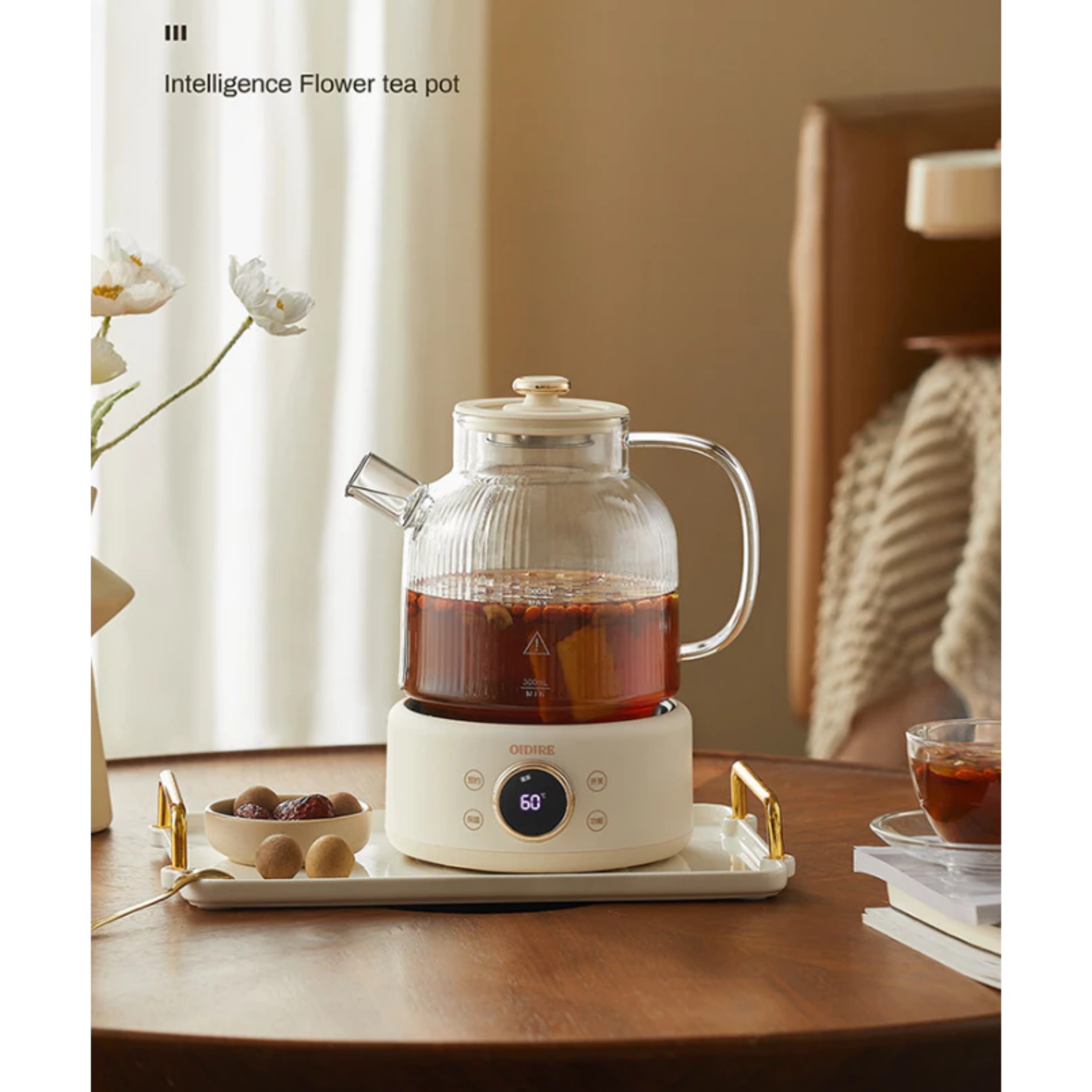 BÌNH ĐUN NƯỚC THỦY TINH PHA TRÀ OIDIRE 530W 220V