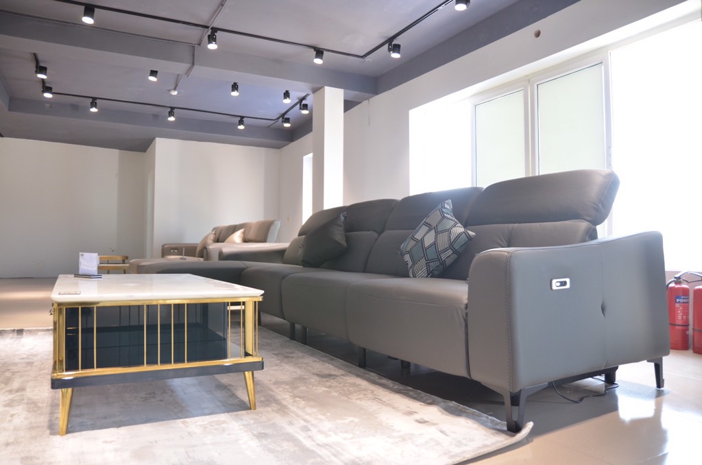 SOFA da thật thông minh 19002