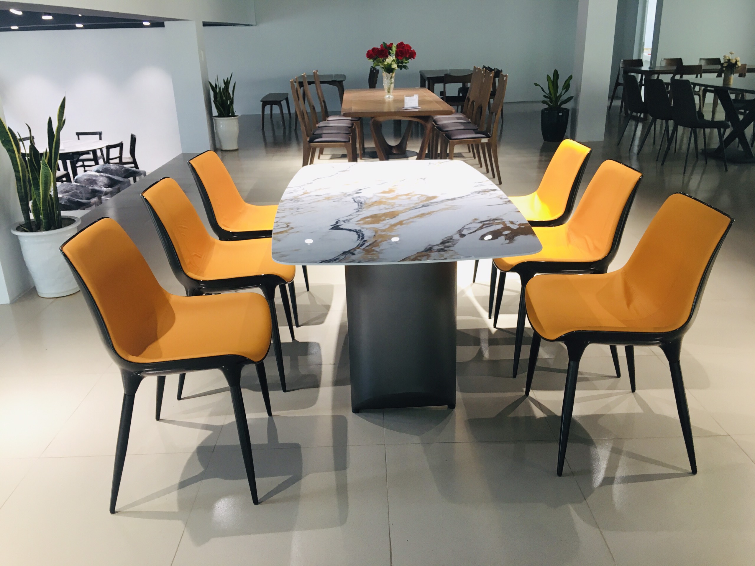 Bàn ăn nhập khẩu T183