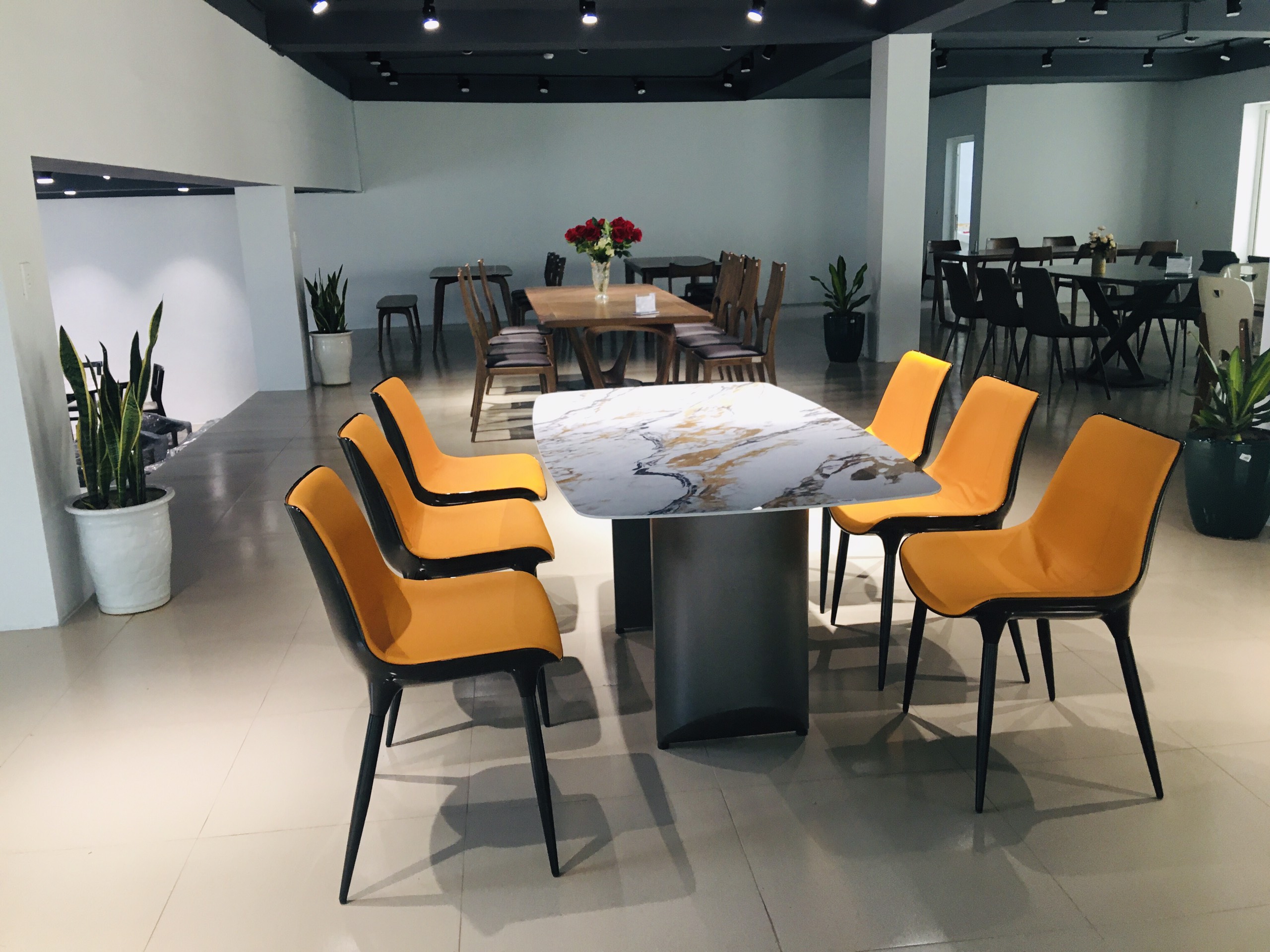 Bàn ăn nhập khẩu T183