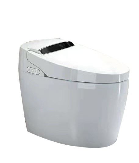 Bồn Cầu Liền Khối TP - 9902BVRN