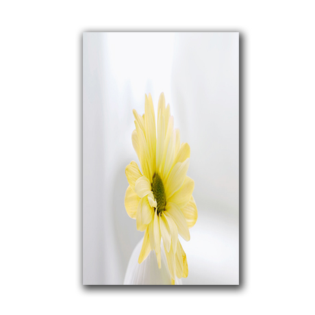 Gạch Thạch Bàn TIP36-006-21