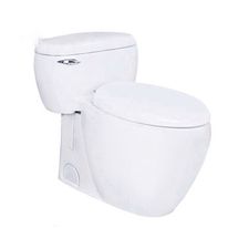 Bàn cầu TOTO 1 khối MS366T7