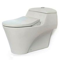 Bàn cầu TOTO 1 khối CW823W/FE2 (Made in Indonesia)