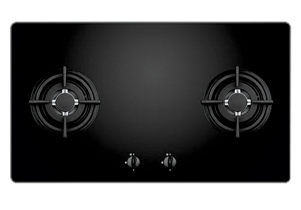 Bếp gas âm FS – 202GB