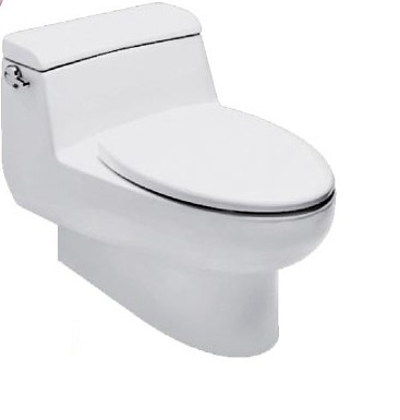 Bồn cầu American 1 khối 2050-WT