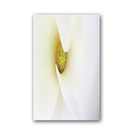 Gạch Thạch Bàn THP36-006-32