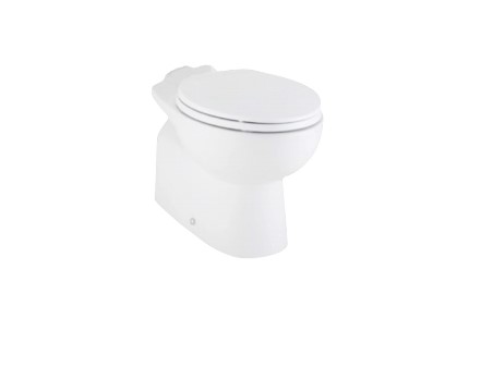 Bồn cầu American 2409-WT van xả trực tiếp