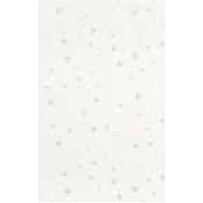 Gạch Đồng Tâm 25×40 2540MTV003