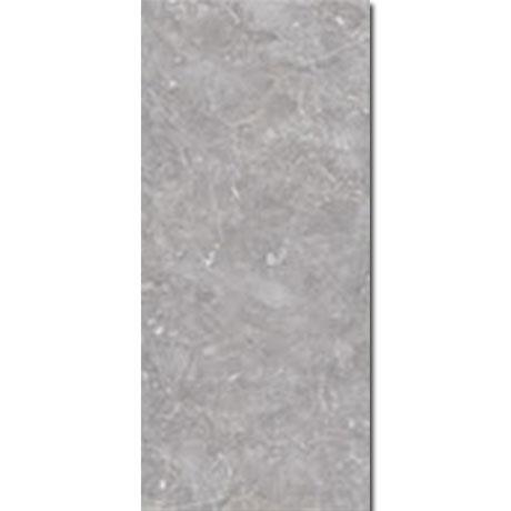 Gạch Đồng Tâm 2560ANDES002