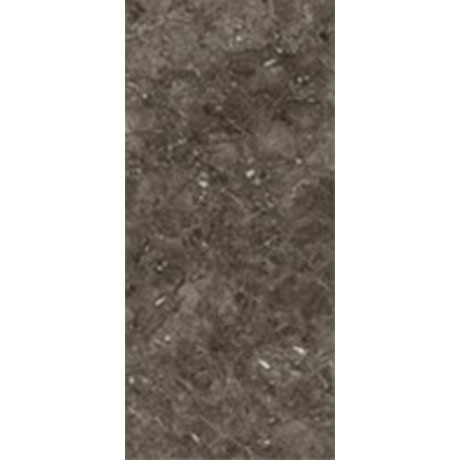 Gạch Đồng Tâm 2560ANDES003
