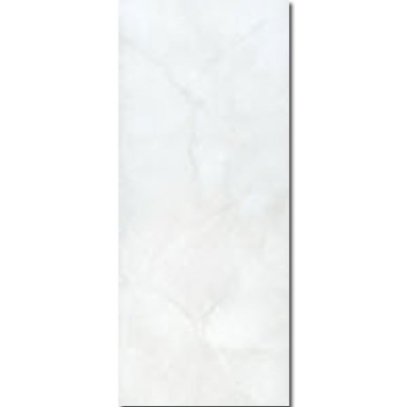 Gạch Đồng Tâm 2560NGOCTRAI001