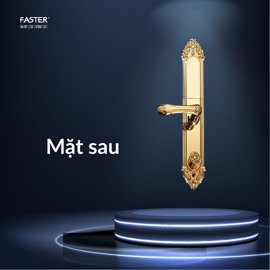 Khóa cửa đại sảnh FS019 24K