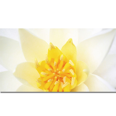 Gạch Thạch Bàn THP36-006-33