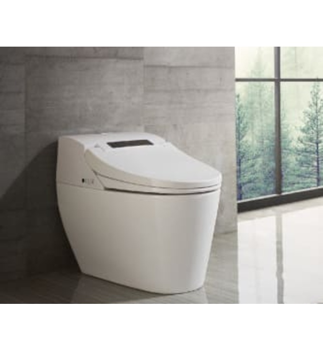 Bồn cầu thông minh Bravat C21152W-3-VP