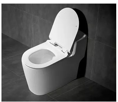 Bồn cầu liền khối men nano kháng khuẩn Moonoah MN-1216