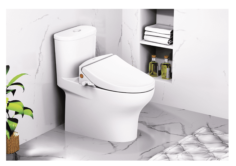 Bàn cầu kết hợp nắp cơ CD1394 -TAF050