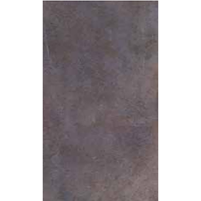 Gạch Đồng Tâm 33×66 66WS03