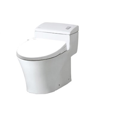 Bồn cầu Inax AC-1008VRN+CW-S15VN/Nắp shower toilet