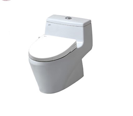 Bồn cầu Inax AC-1035VN + nắp rửa cơ CW-S15VN