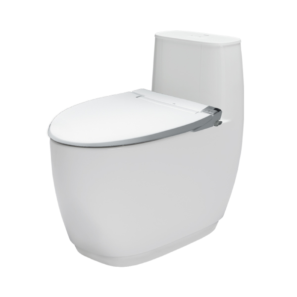 Bồn cầu Inax AC-1052 + CW-KA22AVN một khối