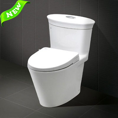 Bồn cầu Inax AC-3003 + nắp rửa cơ CW-S15VN