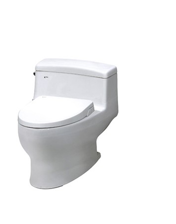 Bồn cầu Inax AC-4005 + nắp rửa cơ CW-S15VN