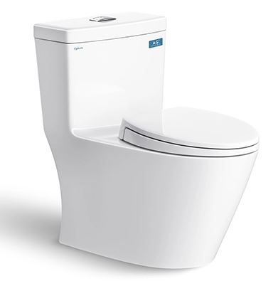 BỒN CẦU 1 KHỐI VIGLACERA V62