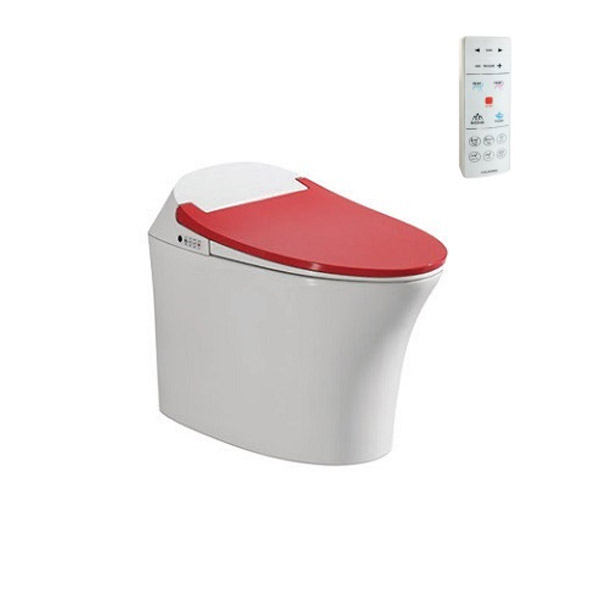BÀN CẦU V-SMART V93.RW